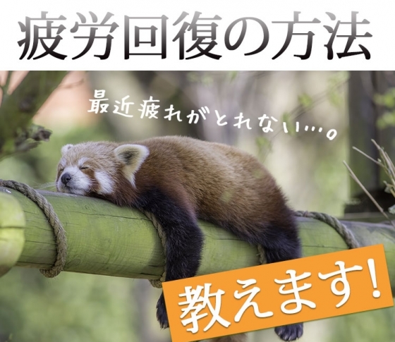 【疲労回復の方法、教えます】「気」を補って、疲れにくい身体にシフトしよう