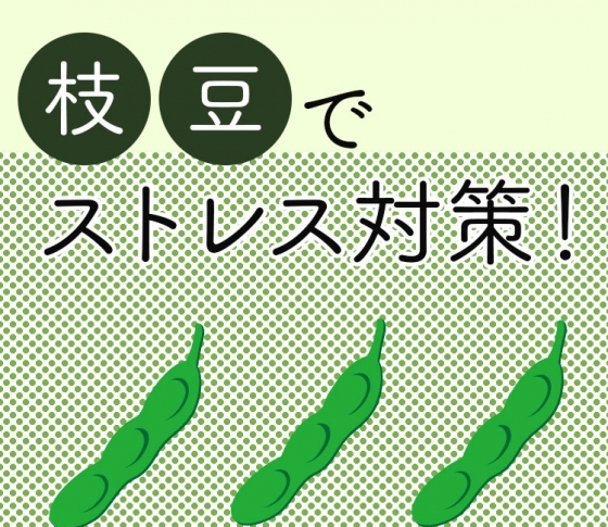【女性の味方イソフラボンたっぷり】枝豆がストレスを和らげてくれる!