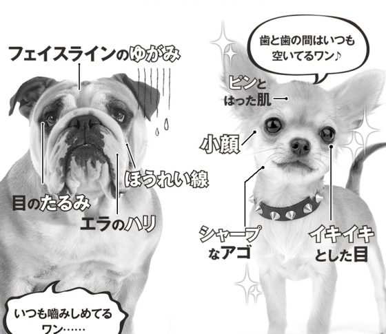 現代女子ブス化現象“食いしばり”を撃退すべし