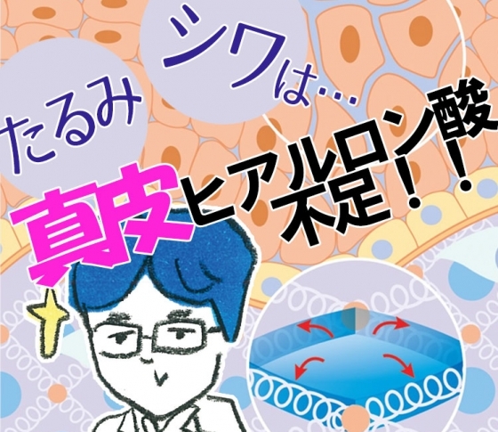 【保湿・エイジングケアのカギ】知れば知る程深い「ヒアルロン酸」のすべて