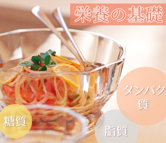 【5大栄養素の役割とは?】栄養の基礎【タンパク質、糖質、脂質、脂肪酸について知ろう】
