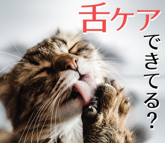 【口臭の原因は、舌に生える苔!?】正しい『舌ケア』で、“口クサ女子”を回避せよ【舌苔って何?】