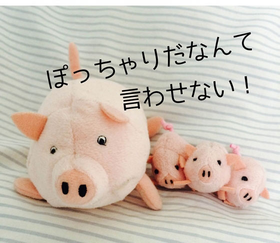 ブタさんを回避する効果的なサプリの摂り方