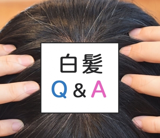 【白髪Q&A】髪と頭皮に関する疑問を解決して、黒髪をキープ!