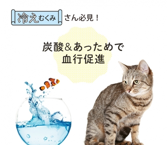 冷えむくみ解消セルフケア!炭酸&あっためで血行促進
