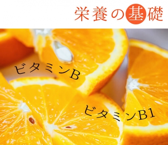 【ビタミンB、ビタミンB1ほか】ビタミン12種類についてまとめ。