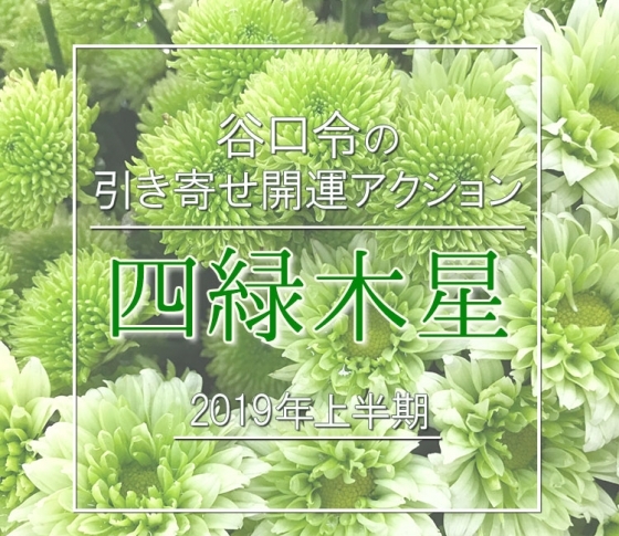 【2019年上半期】四緑木星は次の9年を作る基盤の年。【谷口令の引き寄せ開運アクションアドバイス】