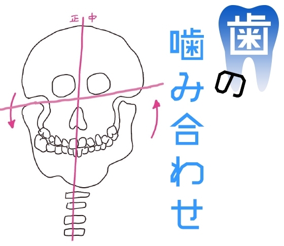 【顔の歪みケアで美人に!】まずは噛み合わせ改善から!