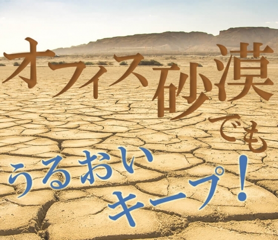 オフィス砂漠でうるおいをキープする4つの乾燥対策テク