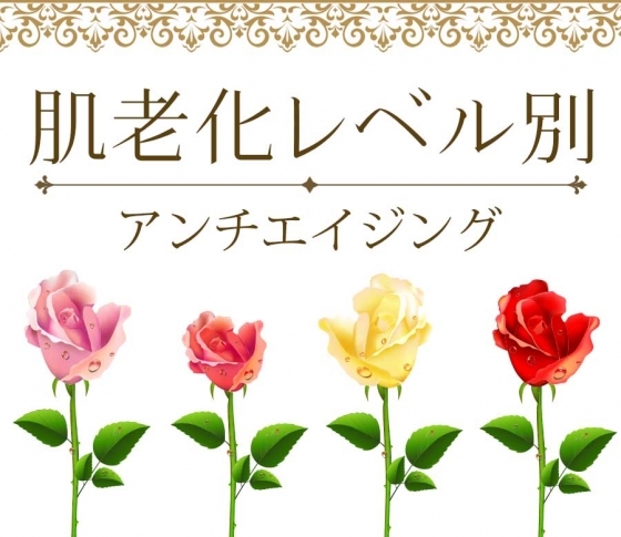 あなたの肌老化レベルが分かる!簡単チェックリスト【自分の肌を正しく把握してこそ、美肌!】