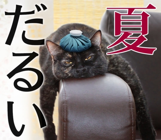 【なんでか夏ってだるい】疲れにくい体をつくるための3つの法則