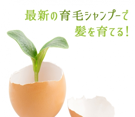 産後の脱毛にも!薄毛のための渾身の育毛シャンプーで本気ケア