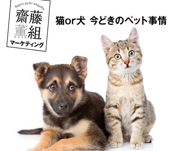齋藤薫さんの猫ブーム考!ひとり暮らしの男が飼っているのはビミョウ?