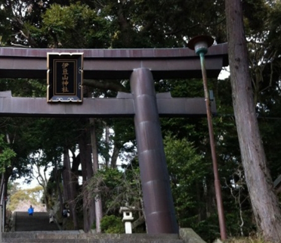 秋の恋への追い風に。恋愛運アップの縁結び神社