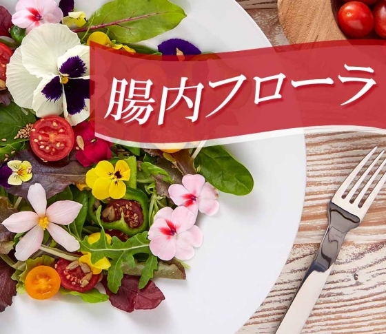 【腸内フローラって何?】腸内環境を整えるレシピ