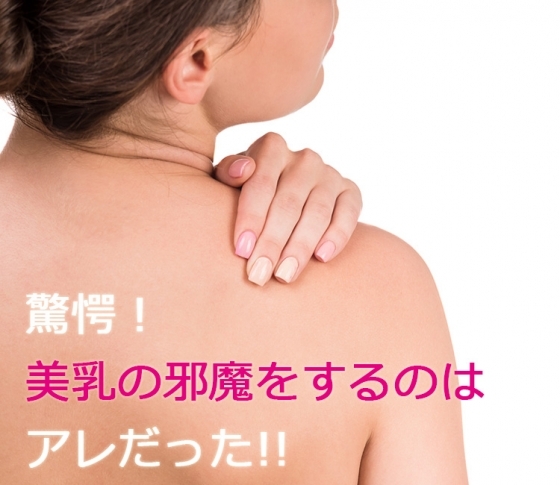 【おっぱい番長 朝井麗華さん直伝】驚愕!美乳の邪魔をするのはアレだった!!