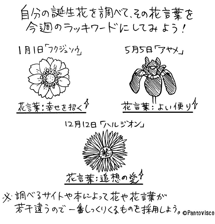 【パントビスコのお試し開運術♪】Pantoviscoが提案する変なミッションvol.22