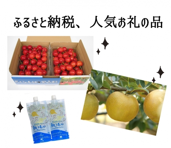 「次はこれを申し込みますっ!」ふるさと納税で大人気の「お礼の品」3品