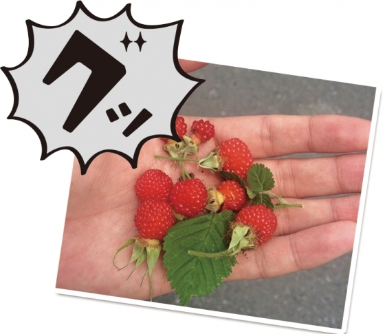 東村アキコの今月のグッときた!2015年8月