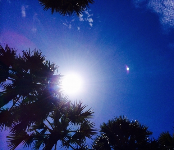 飲むUVケアで太陽も怖くない!