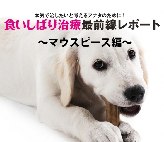食いしばり治療最前線レポート マウスピース