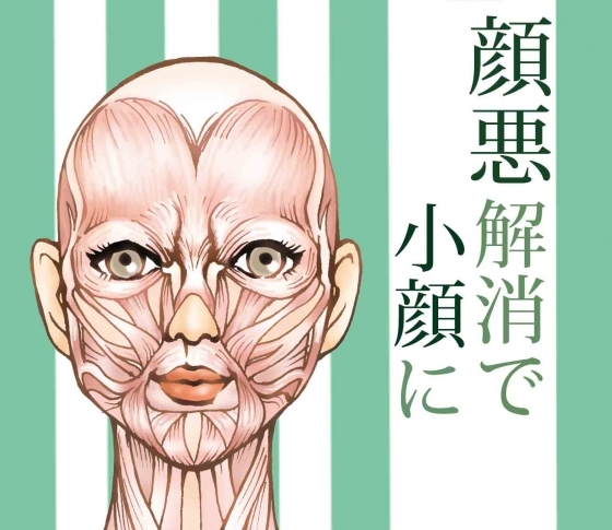 デカ顔は生まれつきの骨格のせいじゃない!【顔悪(がんあく)解消で小顔⁉︎】