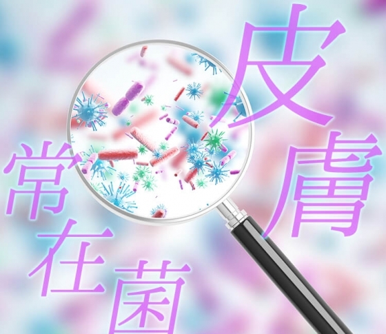 美容好きはやっている!【皮膚常在菌】飼育のすすめ