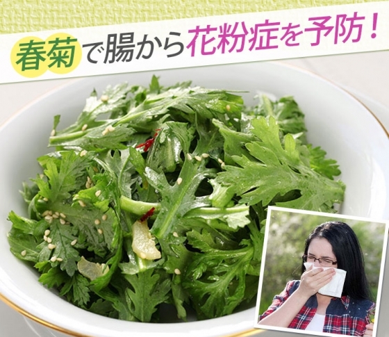 【美肌効果や肩こり軽減も!】春菊を食べて腸から花粉症予防!