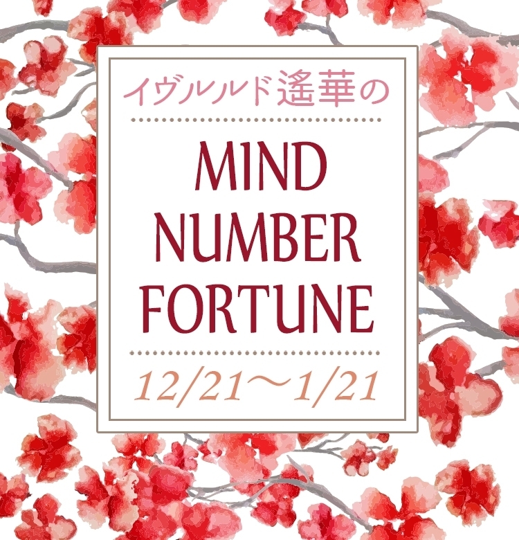 【12/21~1/21】イヴルルド遙華さんの「マインドナンバー占い」、あなたの運気はいかに?