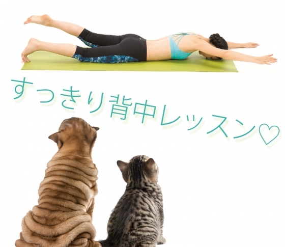 背中美人になる!すっきり背中レッスン♡ 【ツイスト&斜めアップのポーズ】
