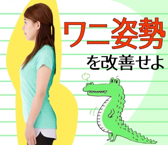 【姿勢がいいつもり?】ワニ姿勢さんが正しい姿勢になるには?