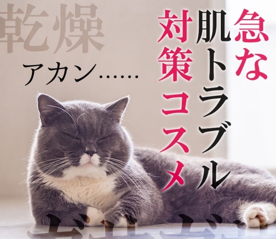 ガサガサ、ゆらぎ、乾燥……。編集部員が厳選!急な肌荒れを回復させる必殺レスキューコスメ