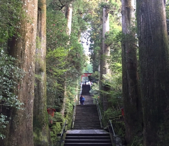 関東随一の霊地、箱根神社