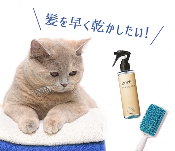 髪をはやく乾かしたーい!速乾アウトバスヘアアイテムはコチラ♡