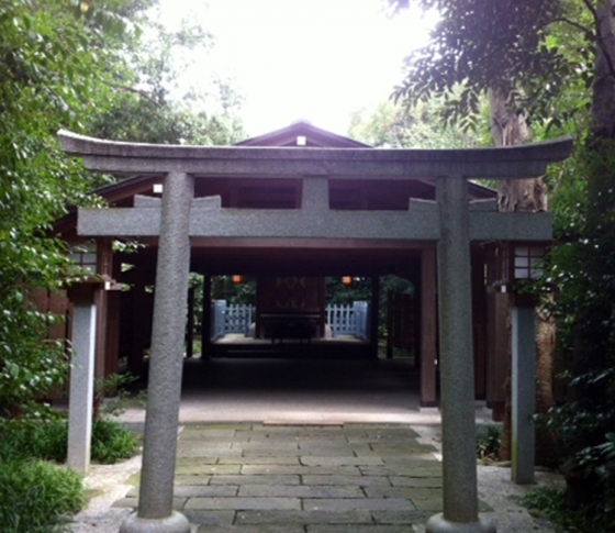 寒川神社で運気をリフレッシュして楽しい夏を