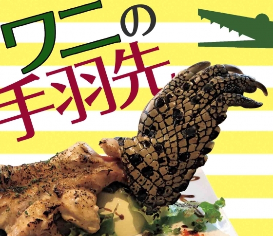 【低脂肪・高たんぱく・肉食女子の注目!】NEXTカンガルー肉は〇〇!!