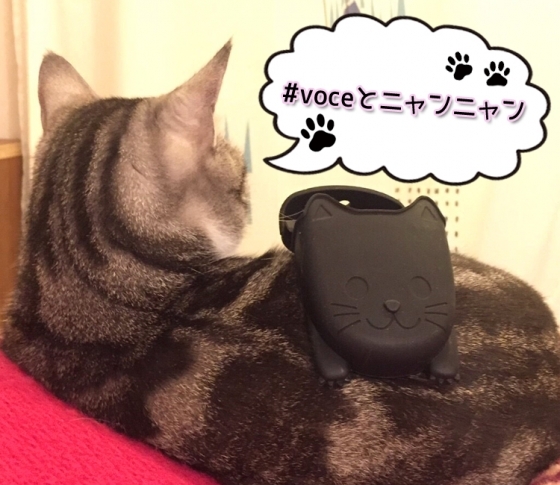 【猫好き集まれ♡】黒猫キャンペーン始動!【#voceとニャンニャン でプレゼント当たります】