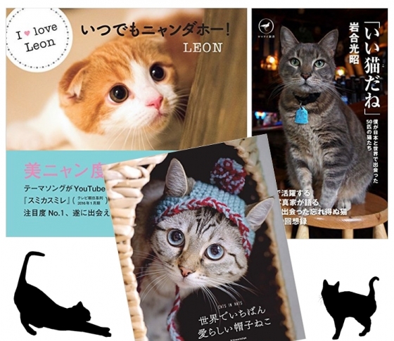 猫好きに超オススメしたい、ニャンと!な猫本厳選3冊!