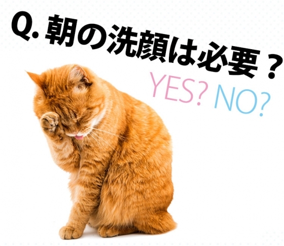 劇的!落ちにくいメイクQ&A「朝の洗顔は必要なの?」