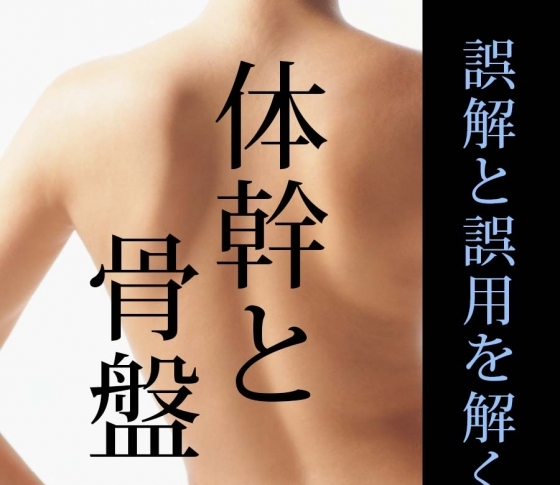 体幹トレーニング、骨盤矯正の真実|基本を理解して、正しく鍛えよう!