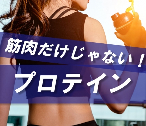 【森星、泉里香、入山杏奈も実感】筋肉をつけるだけじゃない!? プロテインの効果とは【ダイエット、スキンケア、頭皮ケア】