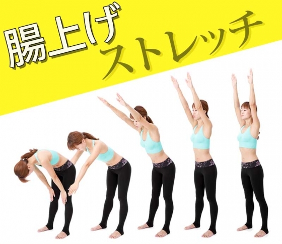 【腸が下がっていると便秘が治らない!?】下がらないカラダストレッチ