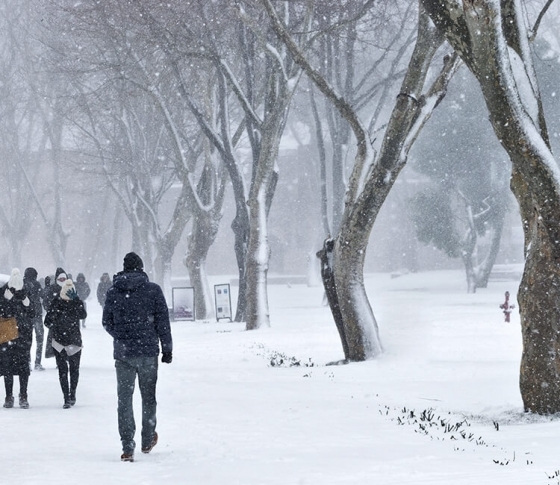 【通勤途中、滑らず歩く!】「雪の日リスク」を回避する方法5つ