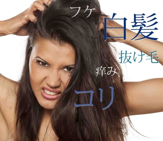 【白髪・抜け毛】【フケ・痒み】【頭皮のコリ】すぐに結果が出るヘアケア、あります!