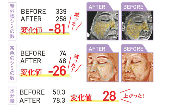 検証結果 検証結果