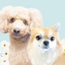 COCOママ