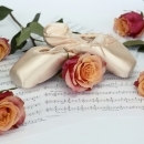 Rose Beauty
