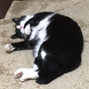 あずさ♪