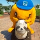 ミホリーナ