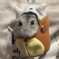 ミラクルlady